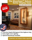 Deluxe Guitar Display Case - 1